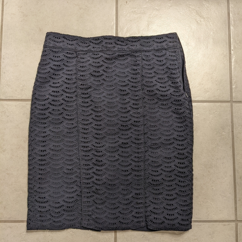 Ann Taylor Pencil Skirt